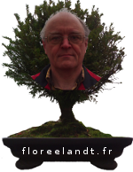 floreelandt.fr